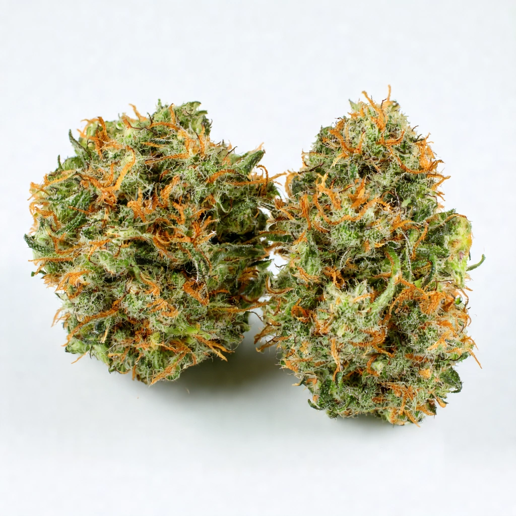 9 Alarm Hybrid Cannabis Strain