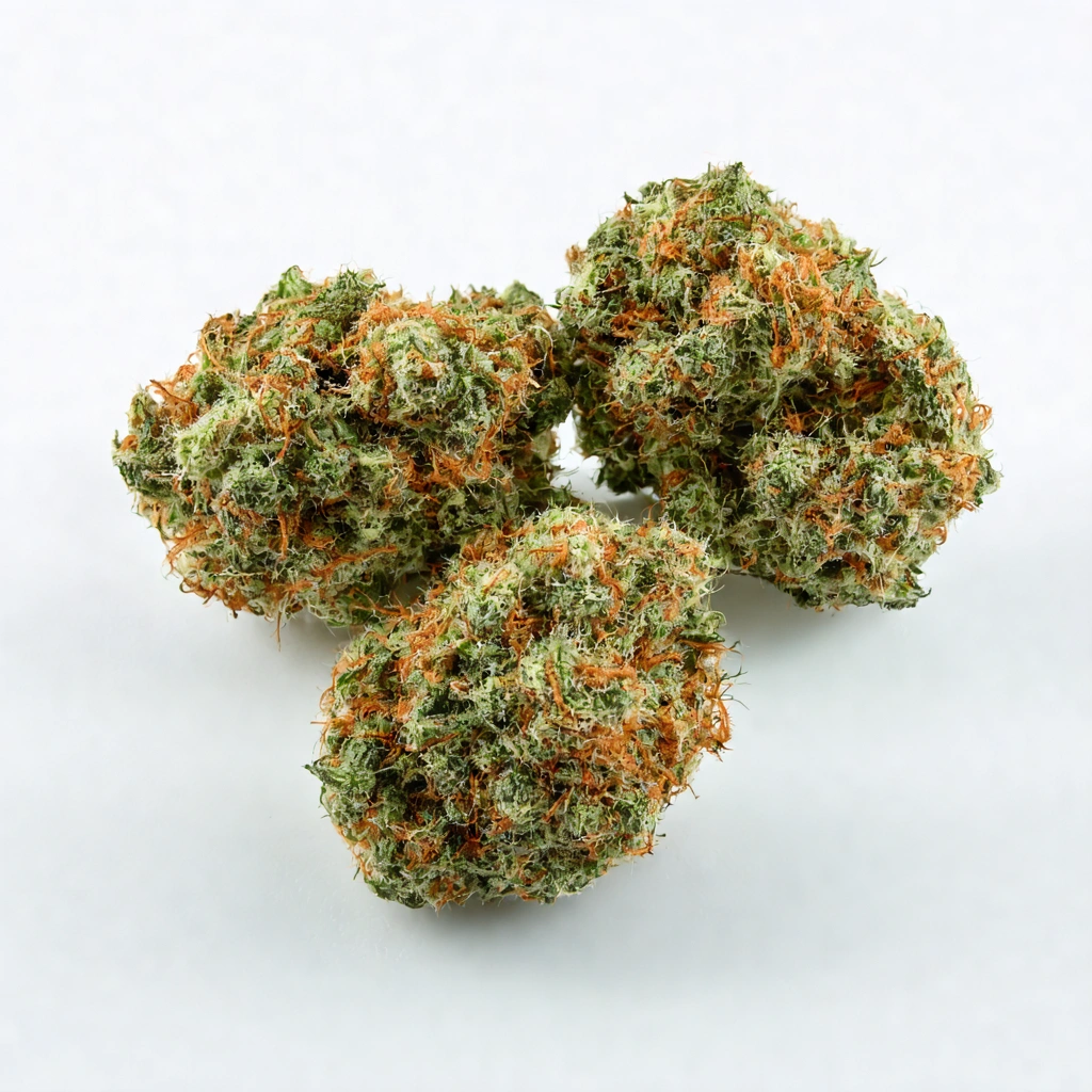 Acapulco Gold x C99 Hybrid Cannabis Strain