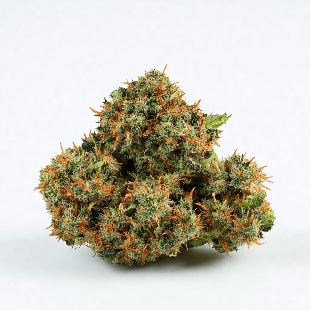 Afghani Hindu Kush Indica Cannabis Strain