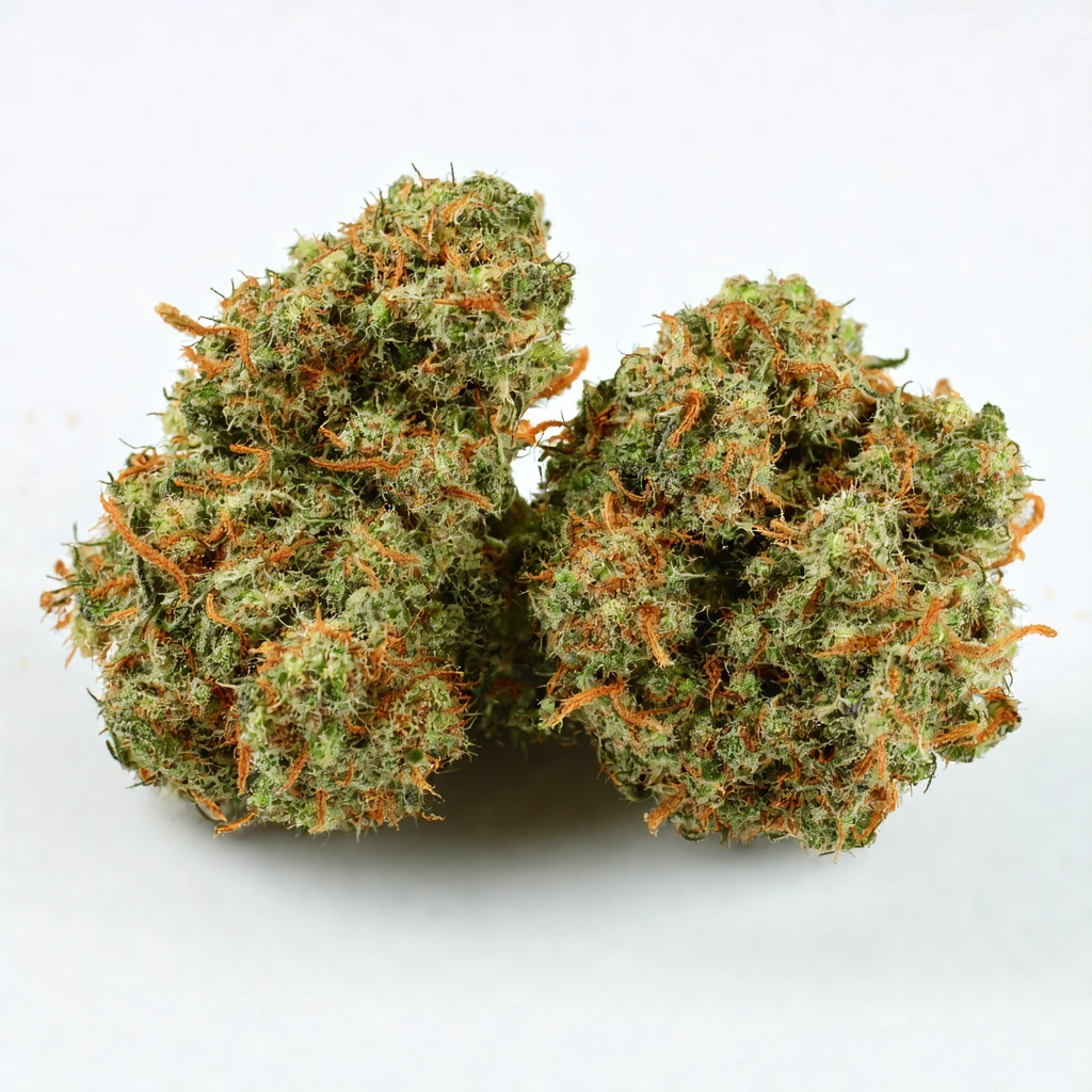 After Dark Hybrid Cannabis Strain