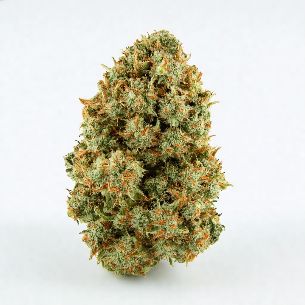 AG13 Haze x Biker Kush LTD Hybrid Cannabis Strain
