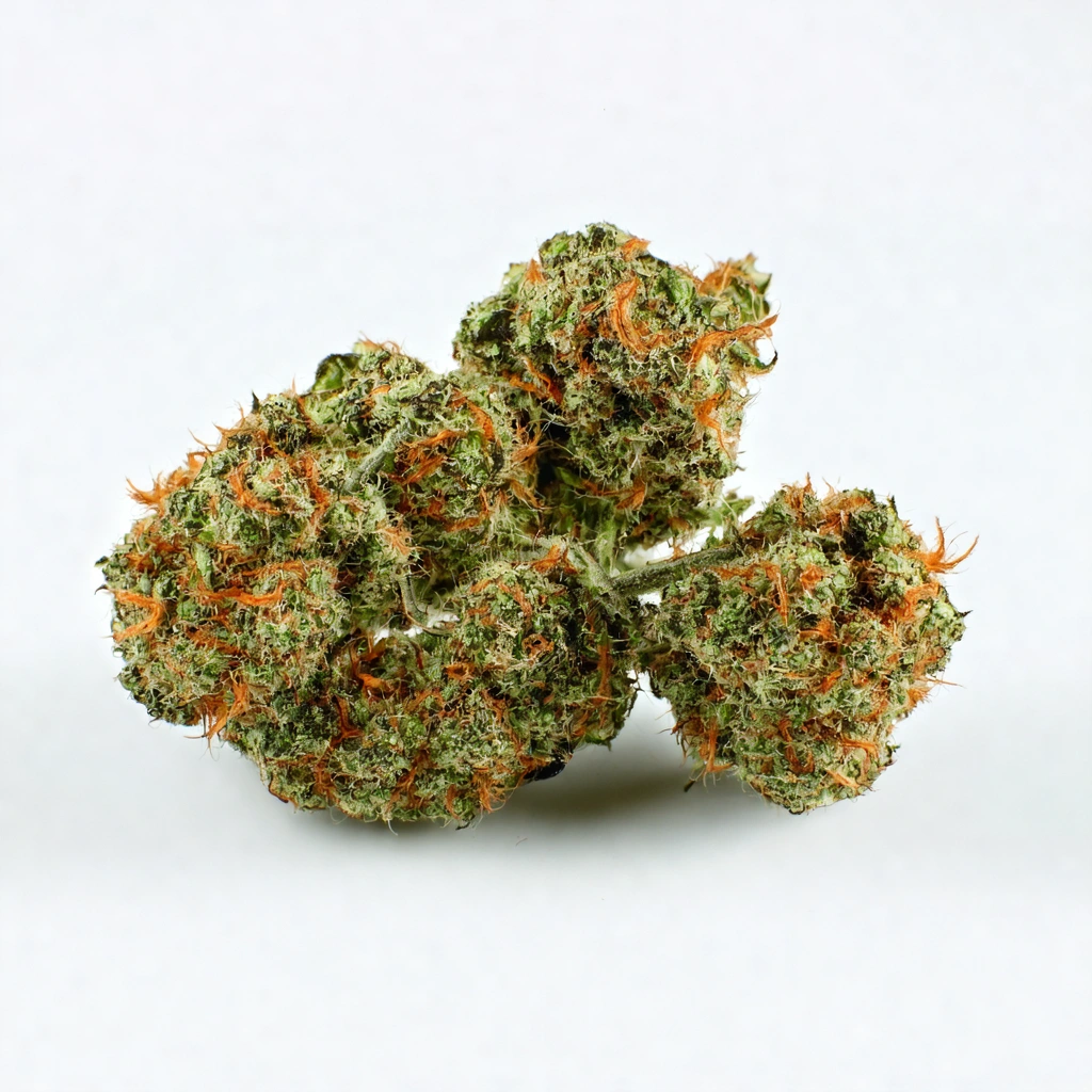 AK Widow 47 Hybrid Cannabis Strain