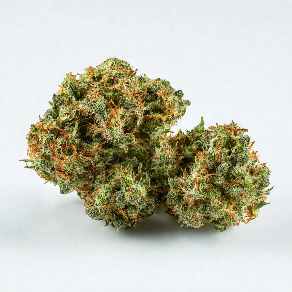 Alpha King Hybrid Cannabis Strain