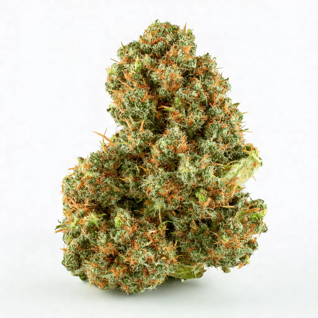 Alpine Cookies Indica Cannabis Strain