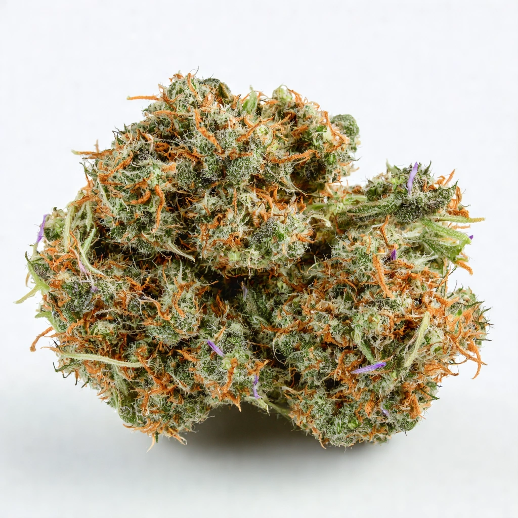 Alpujarreña Hybrid Cannabis Strain