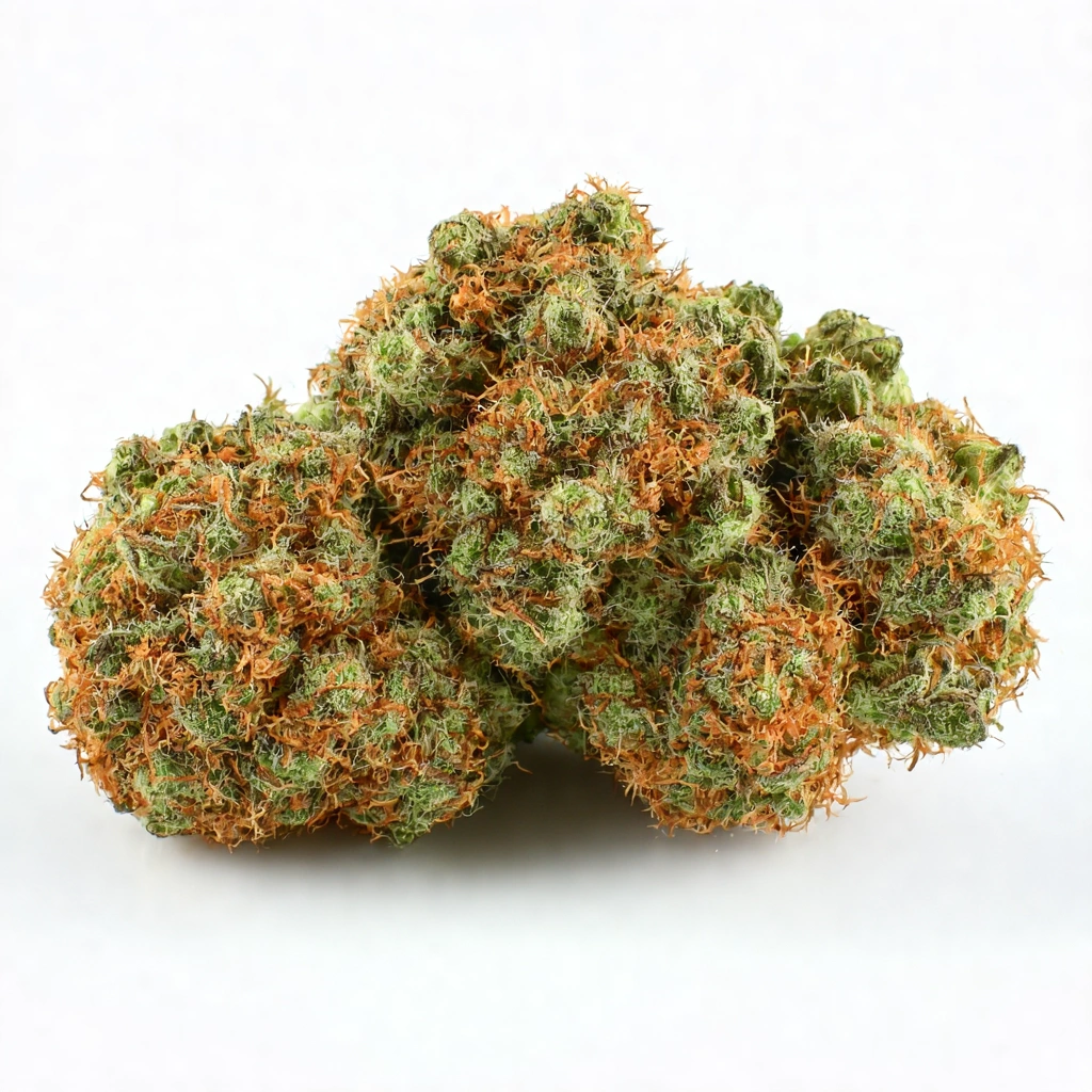 Amalfi Coast Hybrid Cannabis Strain