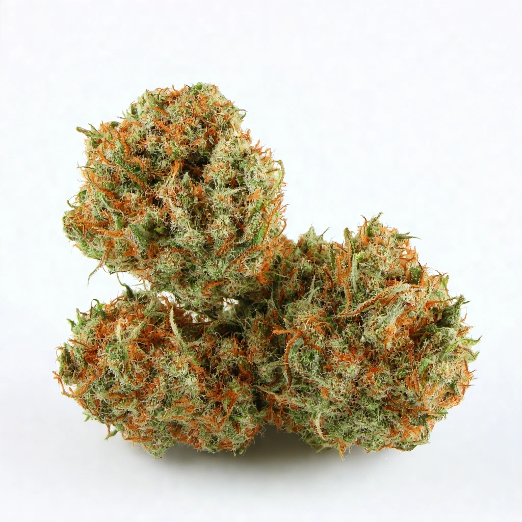 Amnesia G13 Hybrid Cannabis Strain