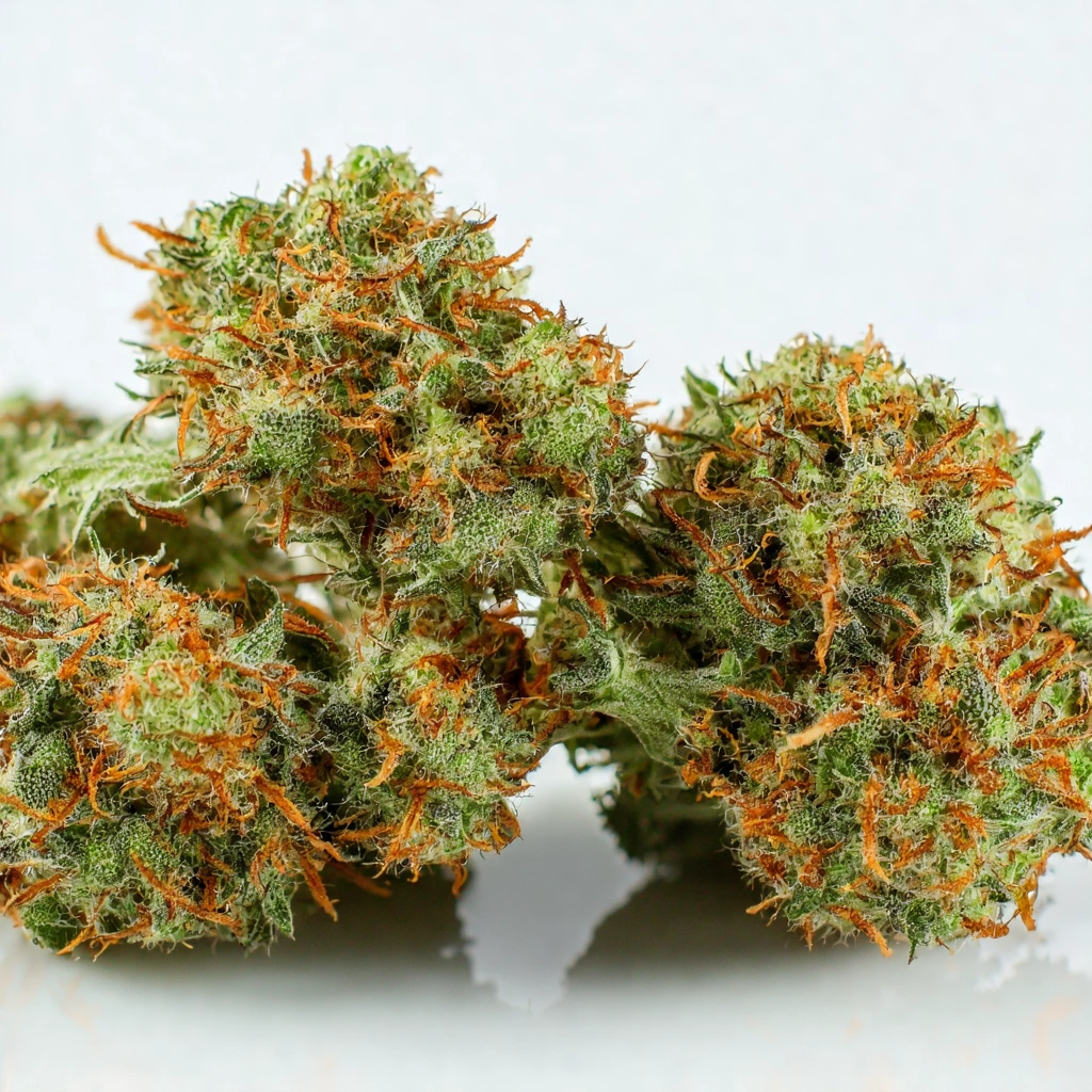 Amnesia Haze Hybrid Cannabis Strain