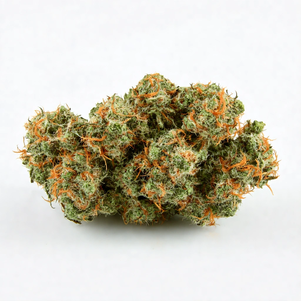 Apple Cider Hybrid Cannabis Strain