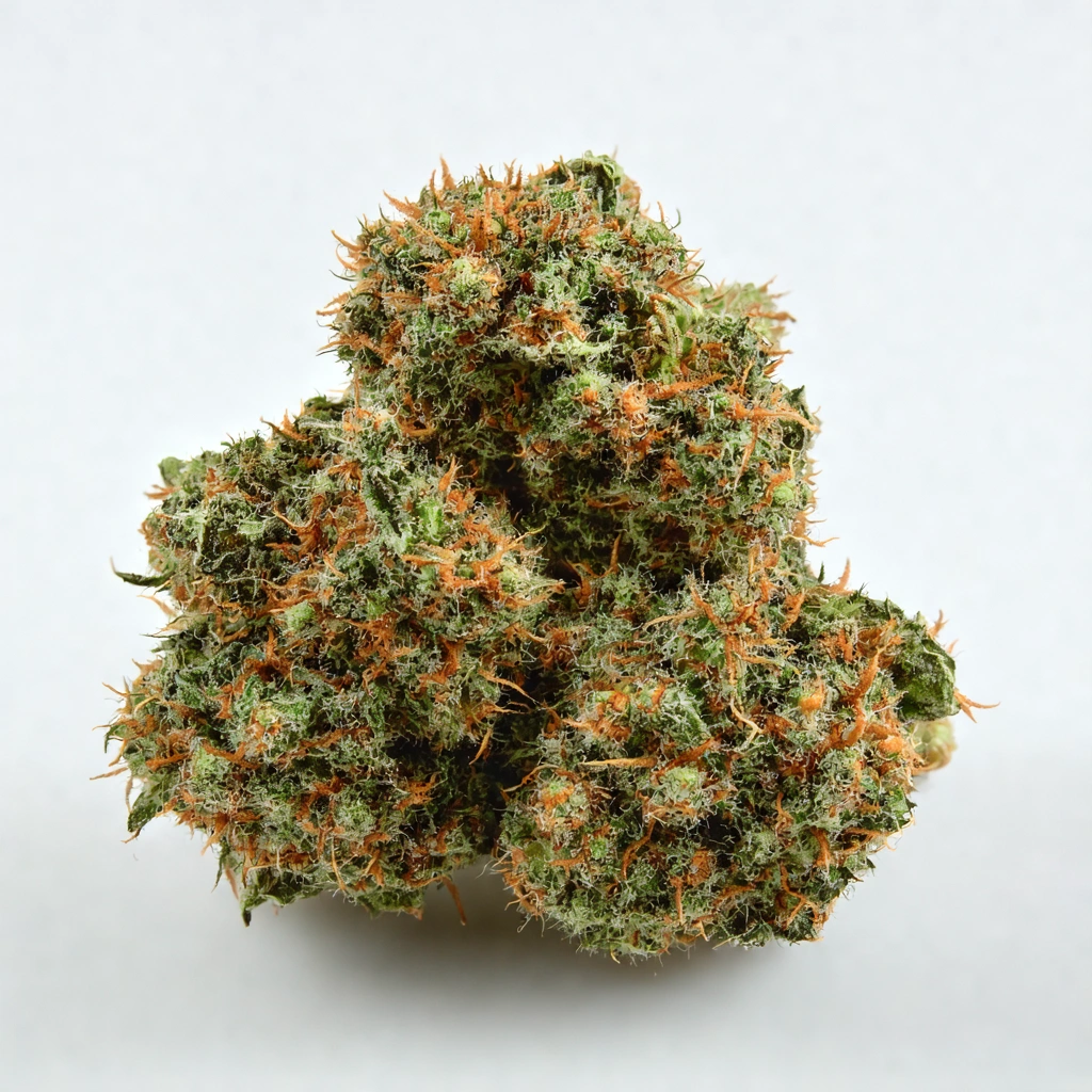 Atomic Shiva Indica Cannabis Strain