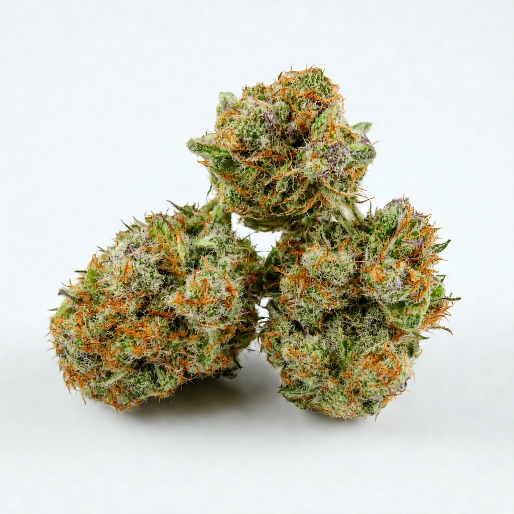 Auto AK-47 XL Hybrid Cannabis Strain