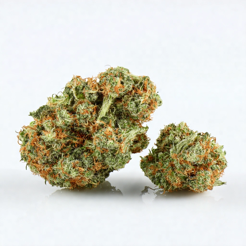 Auto Blackberry Kush Hybrid Cannabis Strain