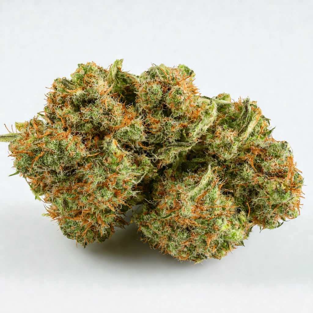 Auto Blue Hybrid Cannabis Strain