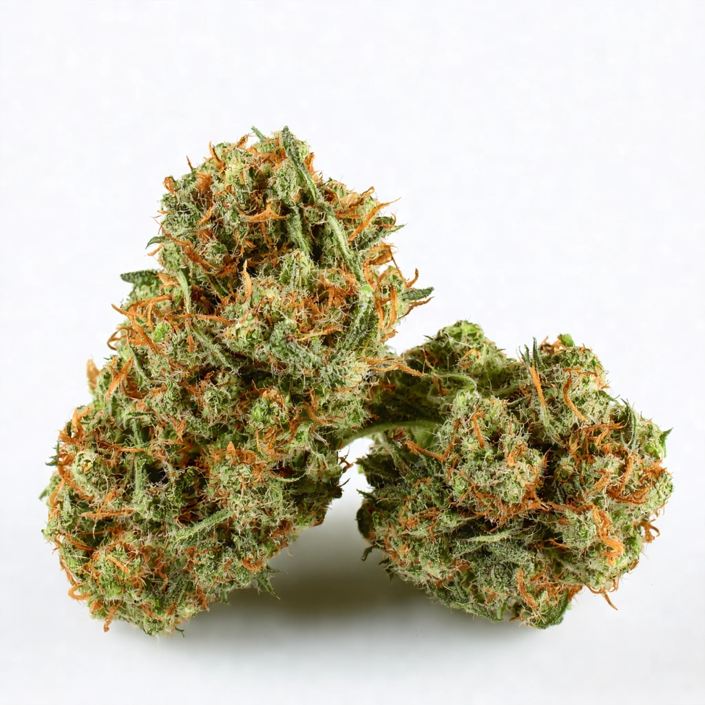 Auto Bubble Gum XXL Hybrid Cannabis Strain