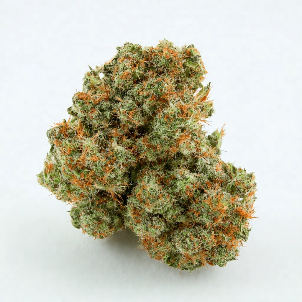 Auto GDP Hybrid Cannabis Strain