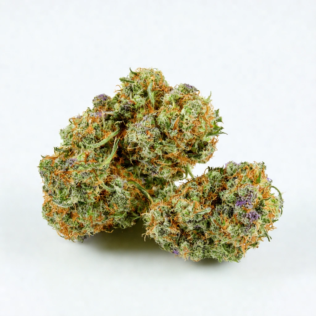 Auto Original 47 Hybrid Cannabis Strain