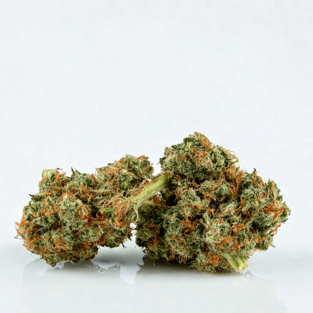 Auto Space Cookies CBD Hybrid Cannabis Strain