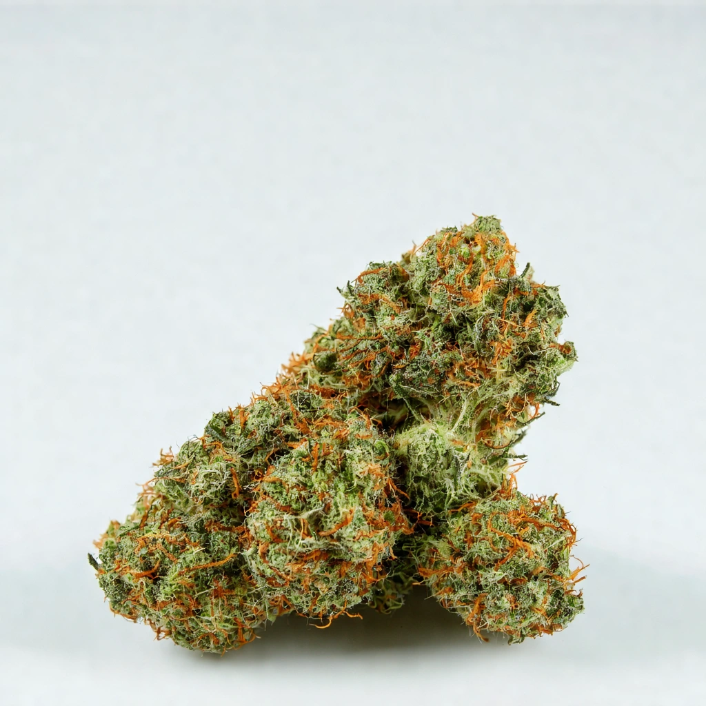 Auto UK Cheese Hybrid Cannabis Strain
