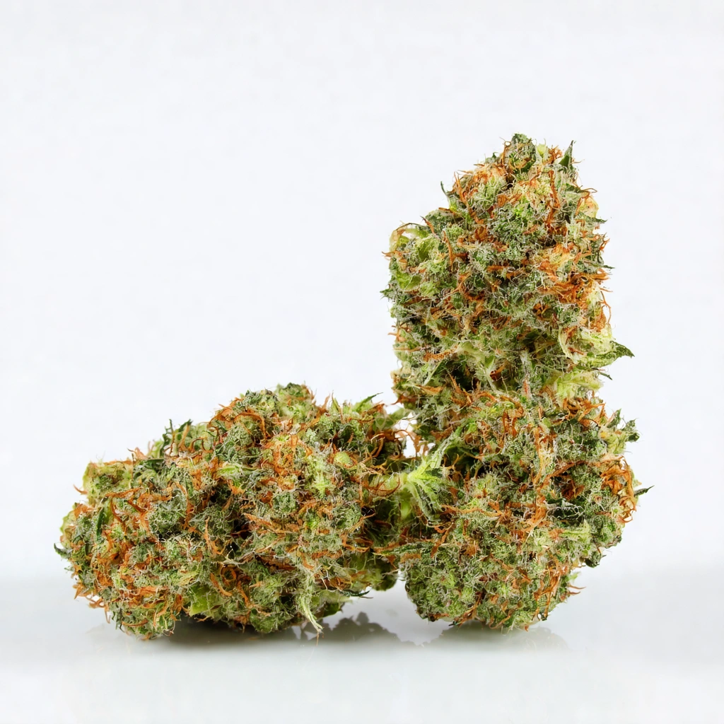 Auto Whiteberry Hybrid Cannabis Strain