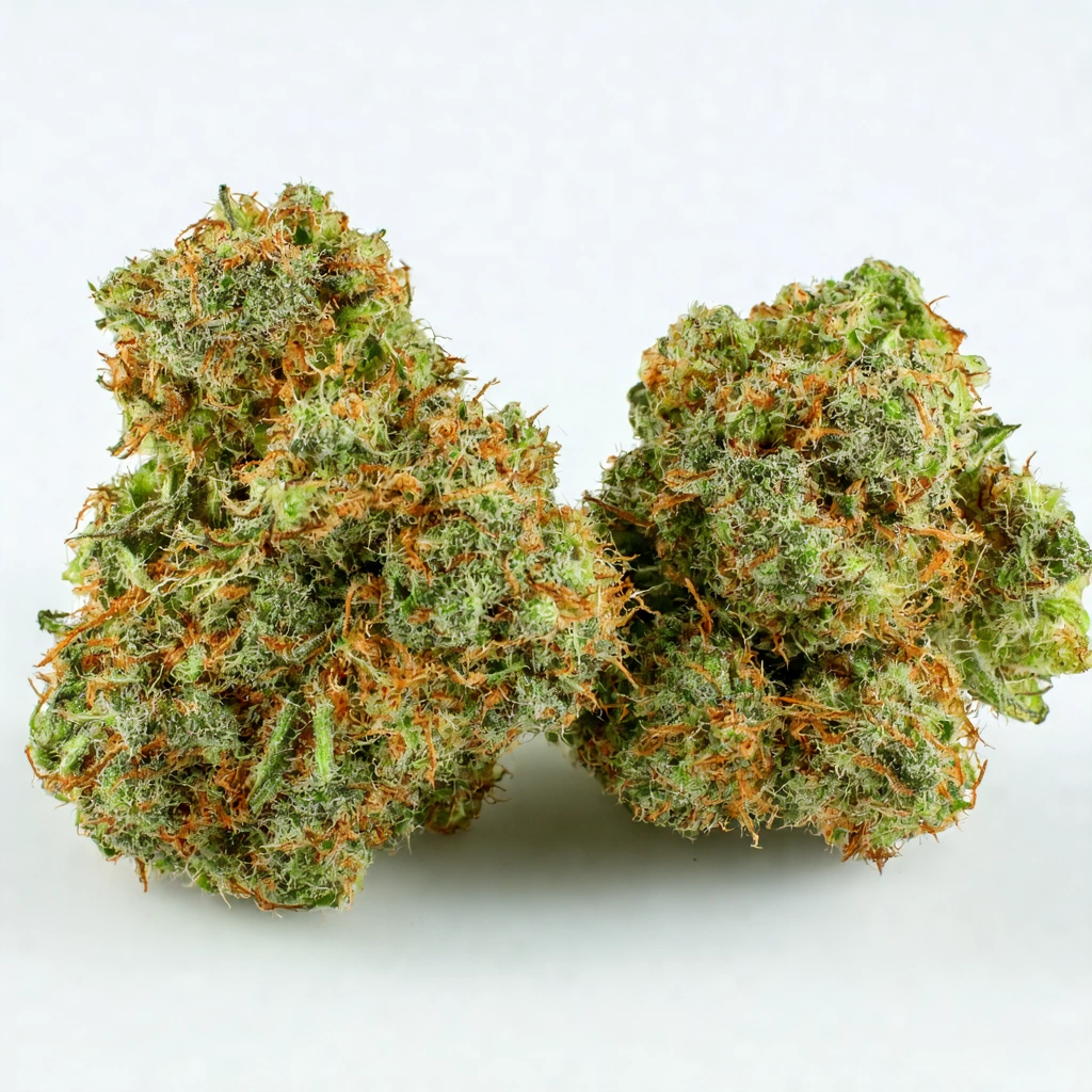 Baker's Delight Hybrid Cannabis Strain
