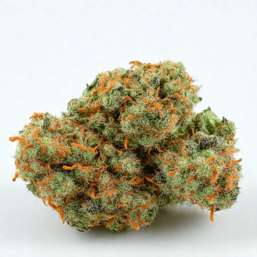 Balearic Dream Hybrid Cannabis Strain