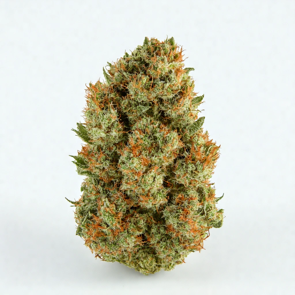 Barbecue Beef Hybrid Cannabis Strain