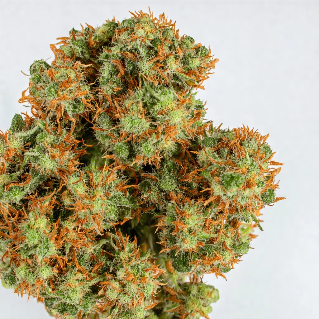 BL4QKFY4N Weed Hybrid Cannabis Strain