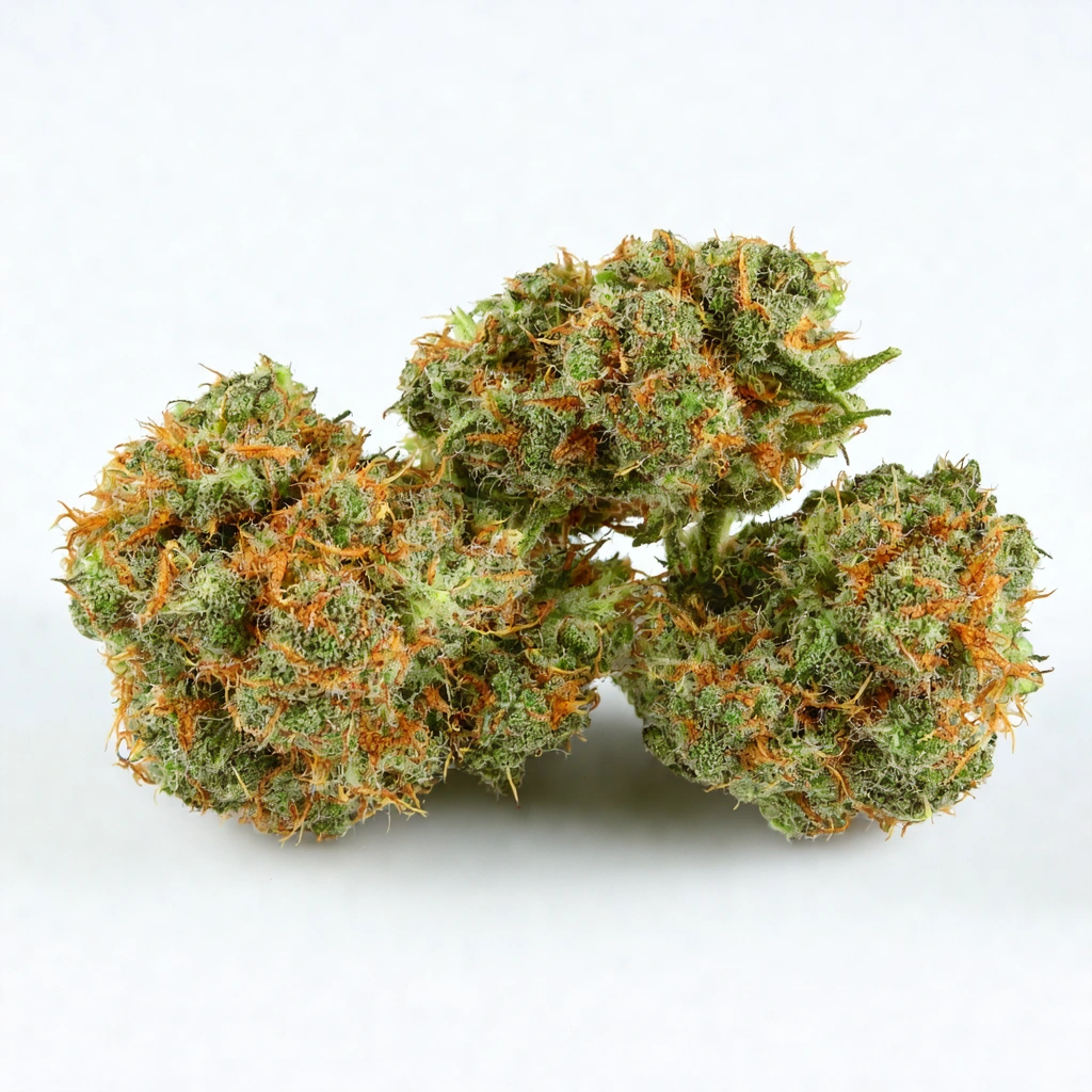 Black Candyland Hybrid Cannabis Strain