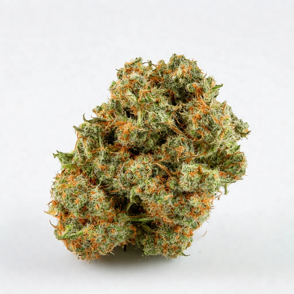 Black Widow Auto Hybrid Cannabis Strain