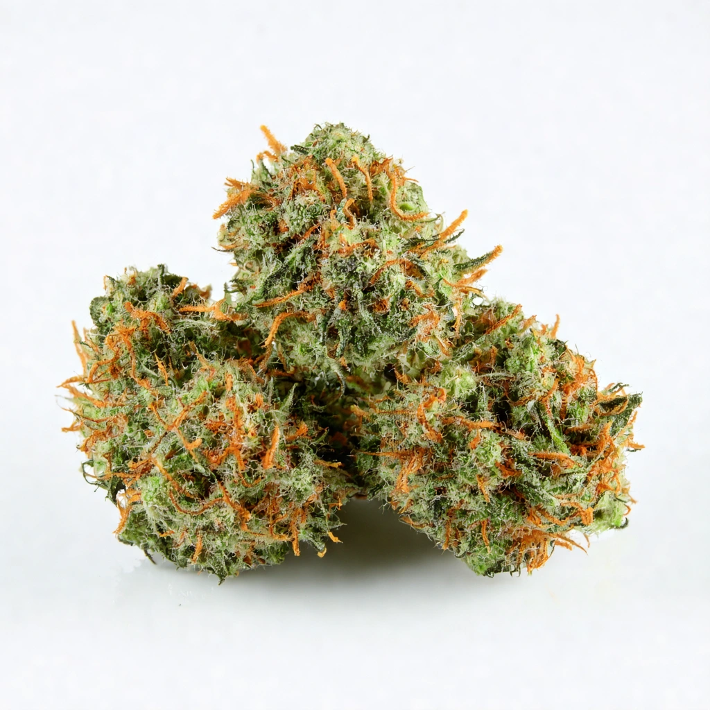 Bloody Rampage Hybrid Cannabis Strain