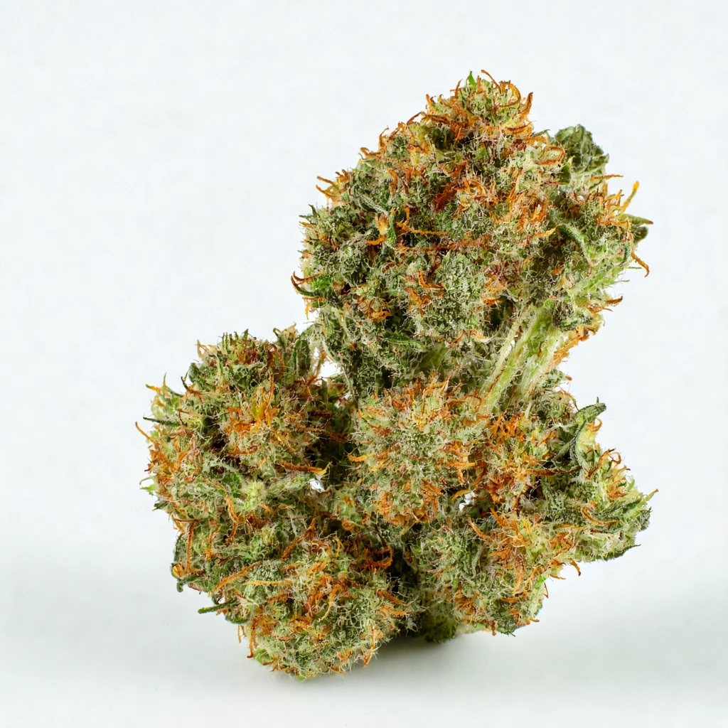 Blue Balls Hybrid Cannabis Strain