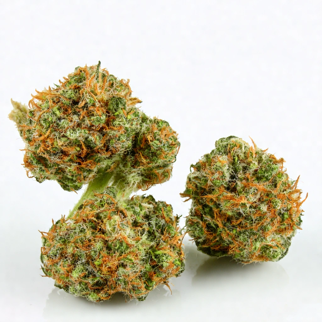 Blue Nerds Hybrid Cannabis Strain