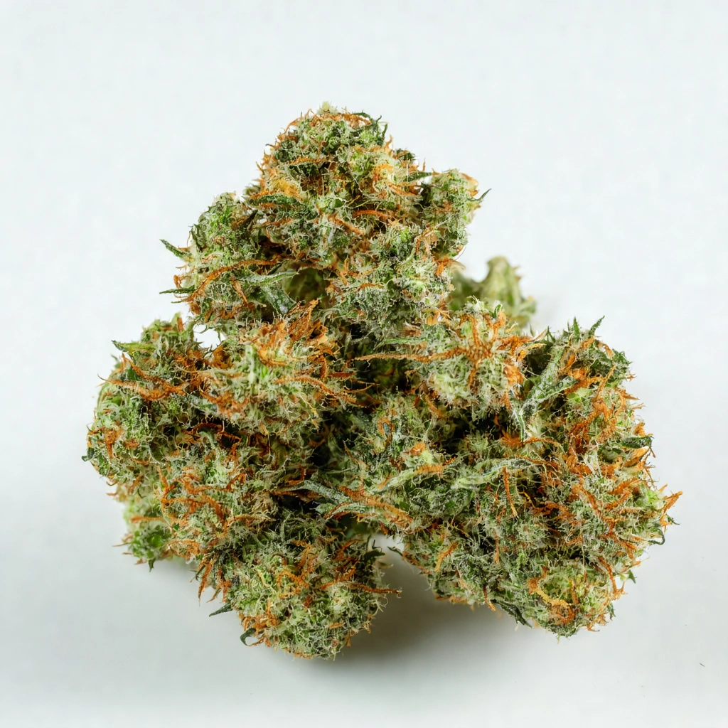 Blue Sage Hybrid Cannabis Strain