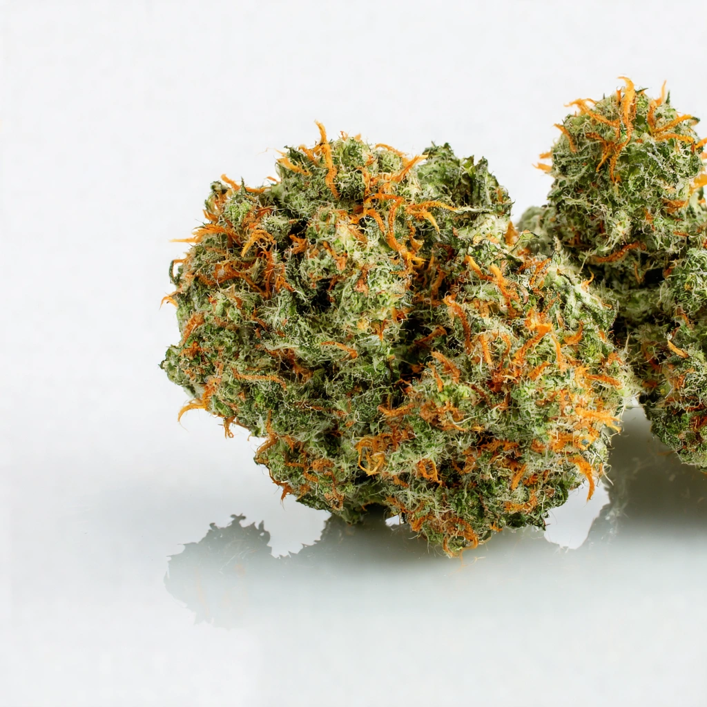California Orange Cheese Hybrid Cannabis Strain