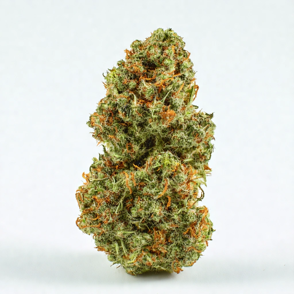 Cart Wheels Hybrid Cannabis Strain