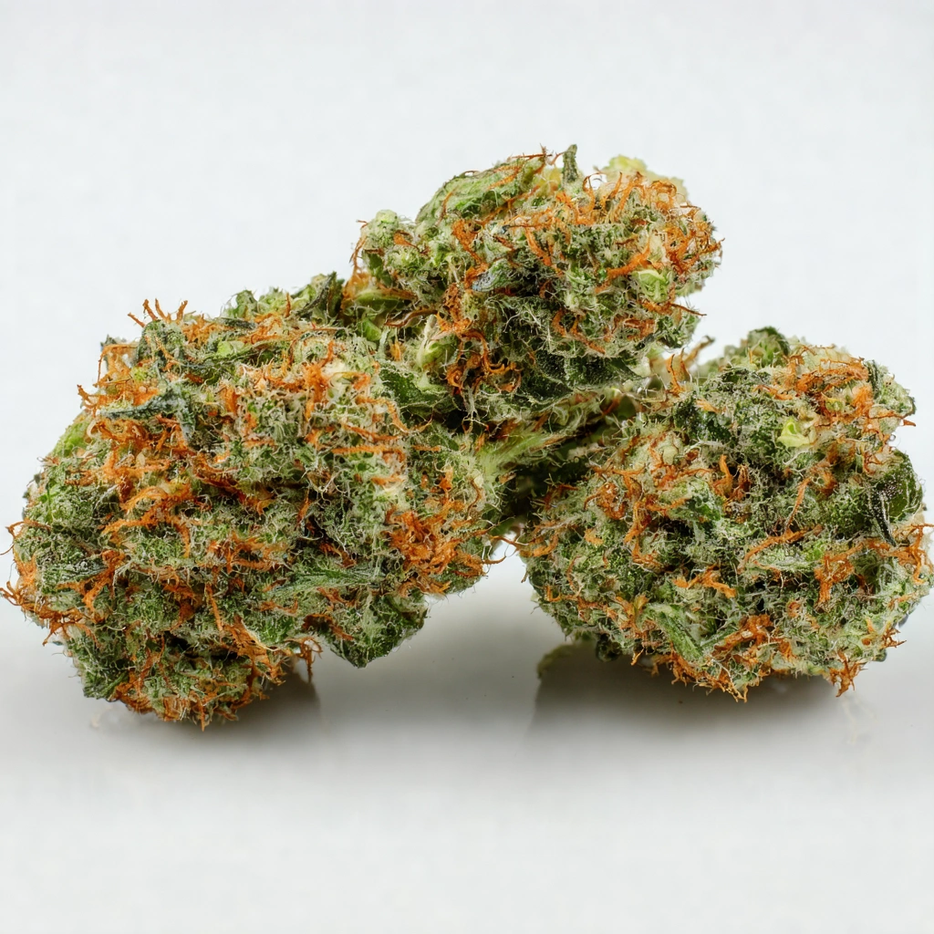 Casey's Rollex O.G. Hybrid Cannabis Strain