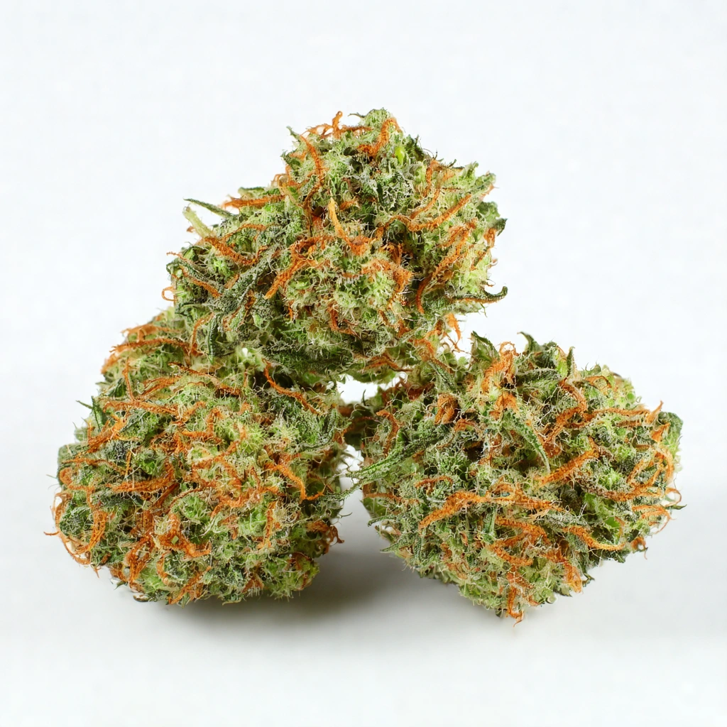 CBD Green Crack Auto Hybrid Cannabis Strain