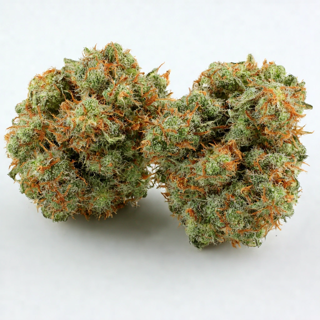 CBD Mazar Hybrid Cannabis Strain