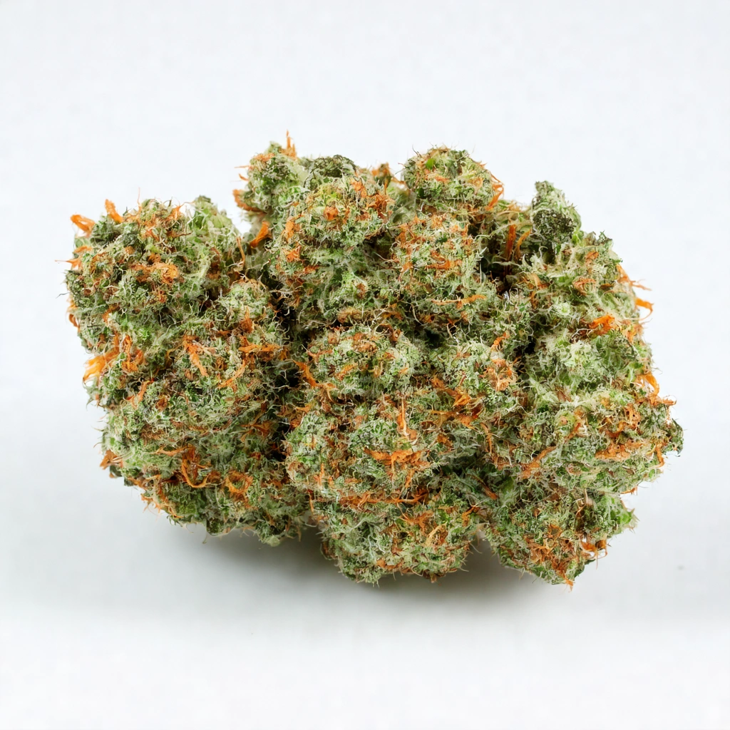 Celestial Dragon Hybrid Cannabis Strain