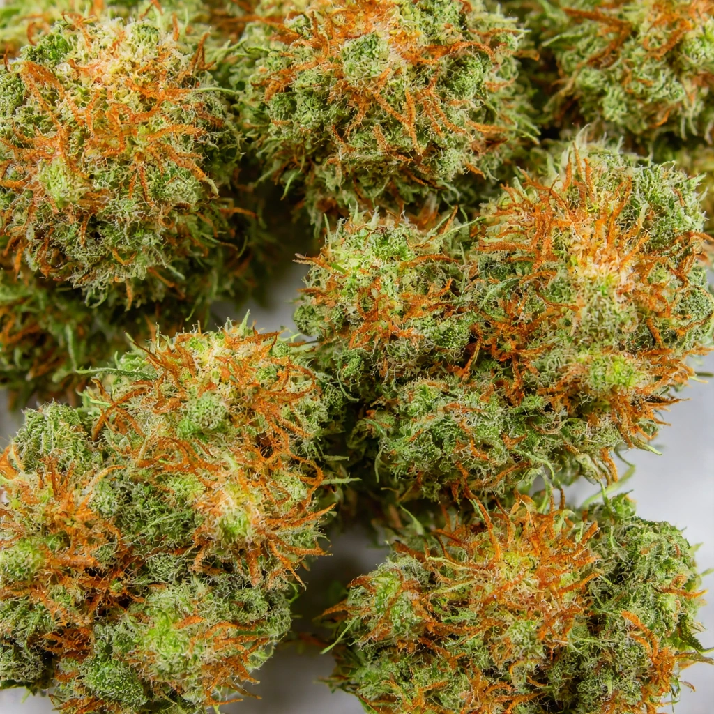 Chem Pie Hybrid Cannabis Strain