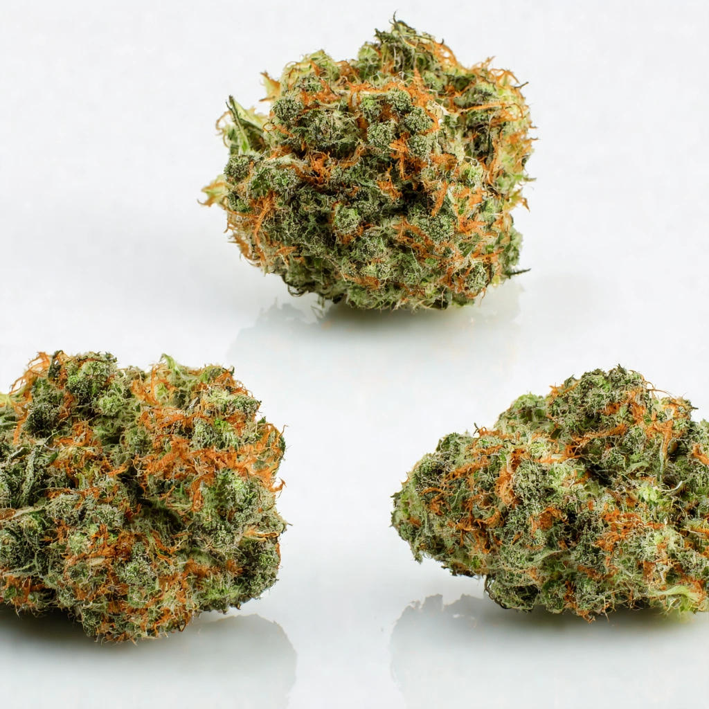Chem Pupil Hybrid Cannabis Strain