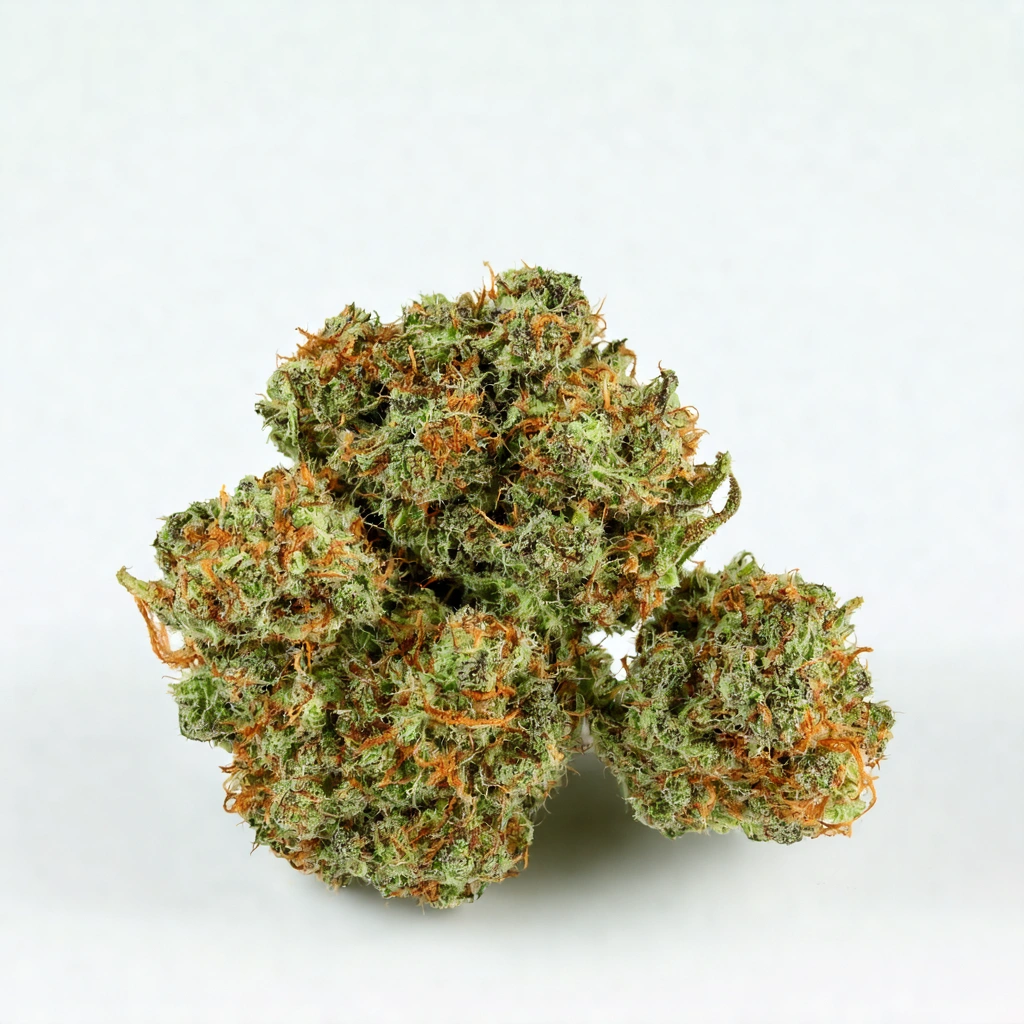 Chemdog x Afghani Hybrid Cannabis Strain