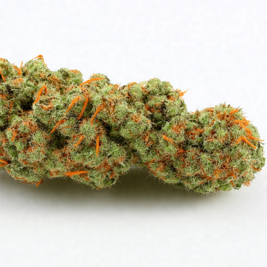 China Beijing Botanical Garden Sativa Cannabis Strain