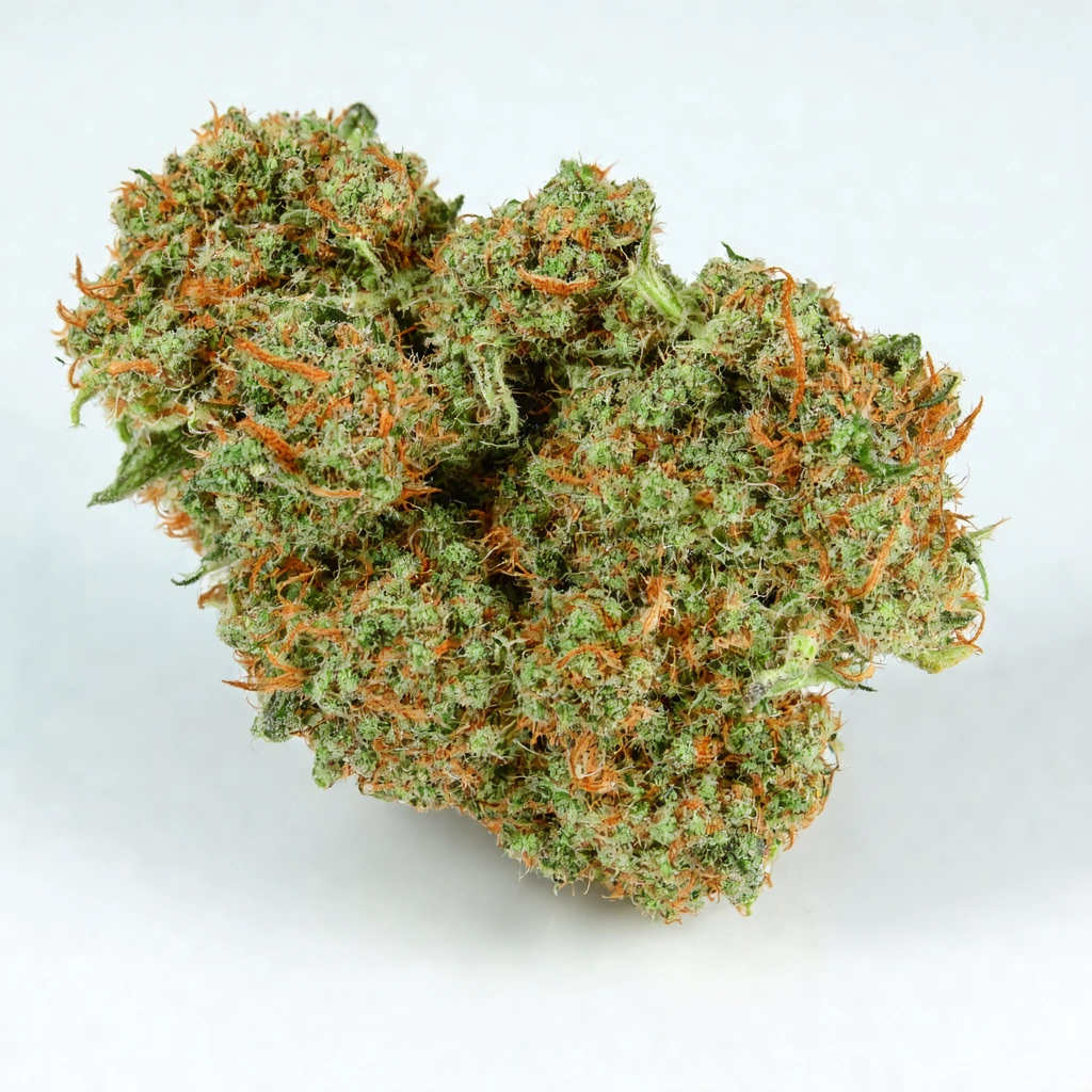 Chocolate Nightmare Hybrid Cannabis Strain