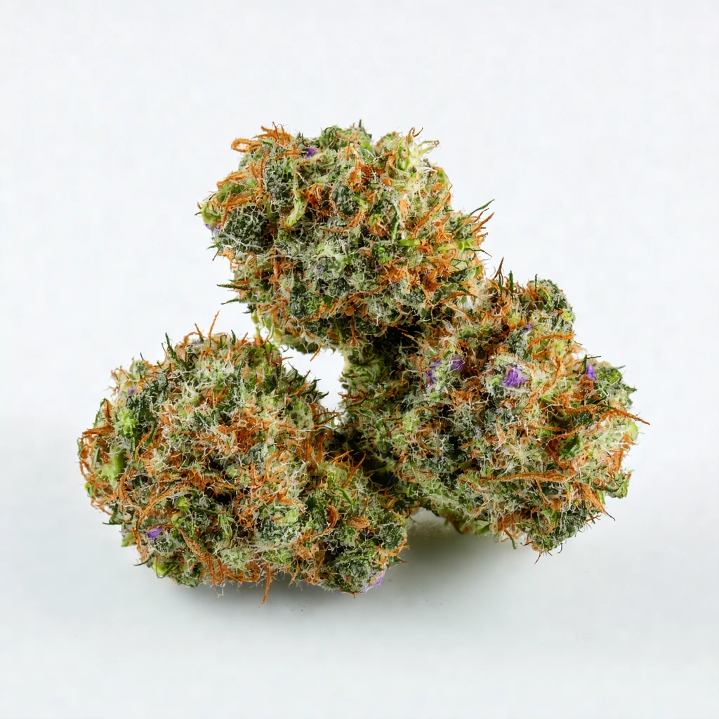 City Slicker Hybrid Cannabis Strain