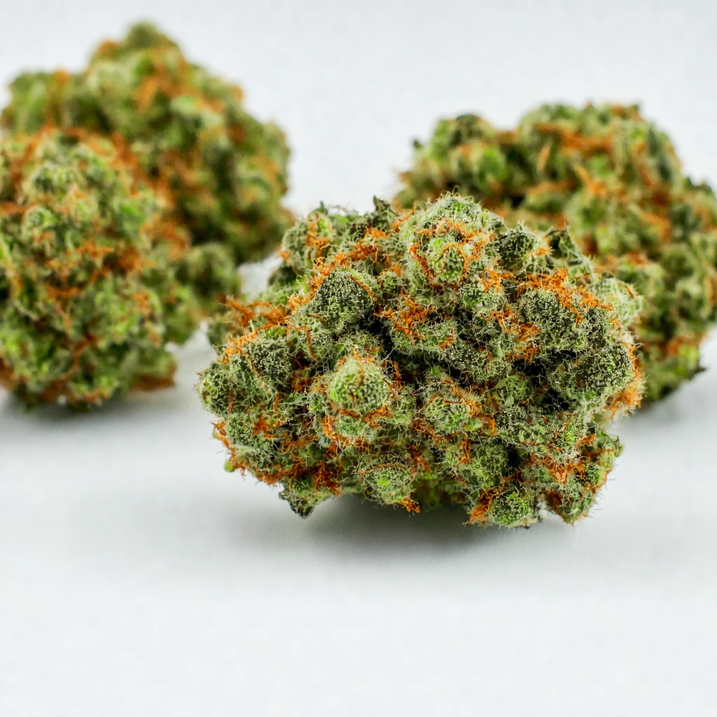 Cocoa Kush Hybrid Cannabis Strain