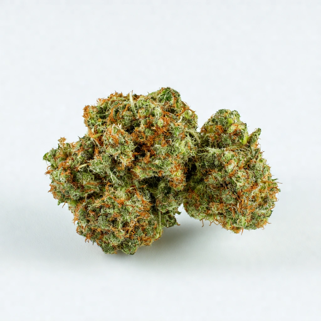 Cookies Fast Hybrid Cannabis Strain