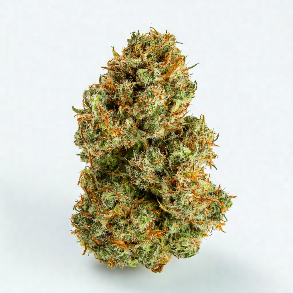 Cool Breeze Hybrid Cannabis Strain