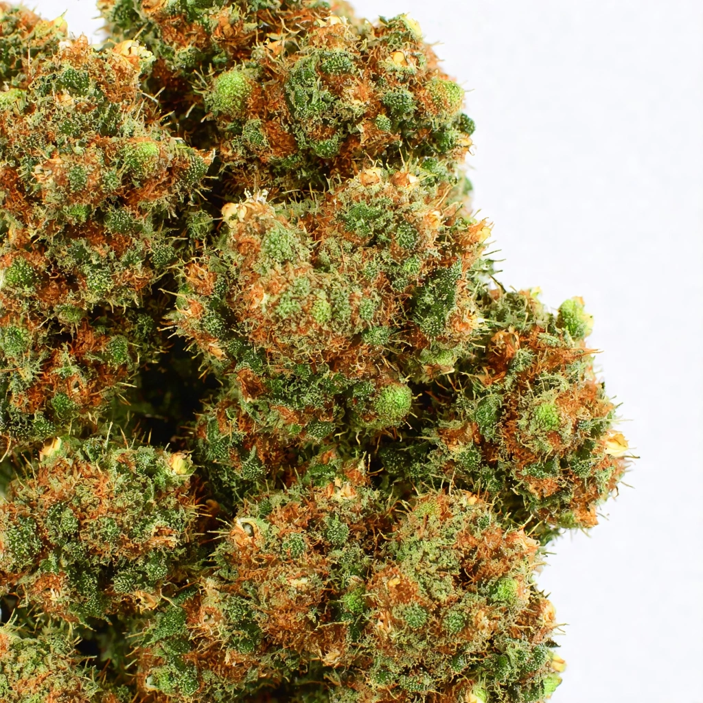 Crazy Lazy Indica Cannabis Strain