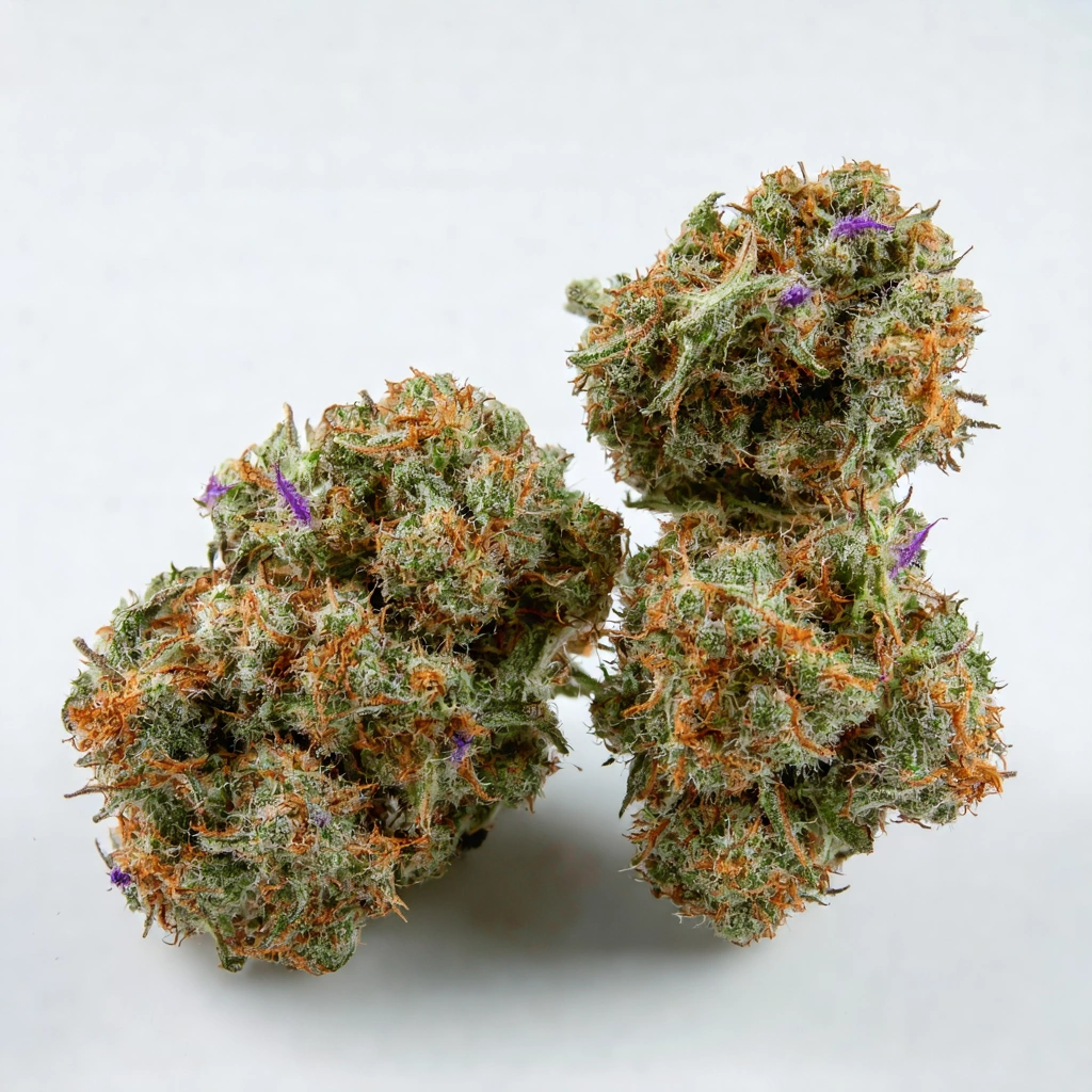 Critical 47 Auto Hybrid Cannabis Strain